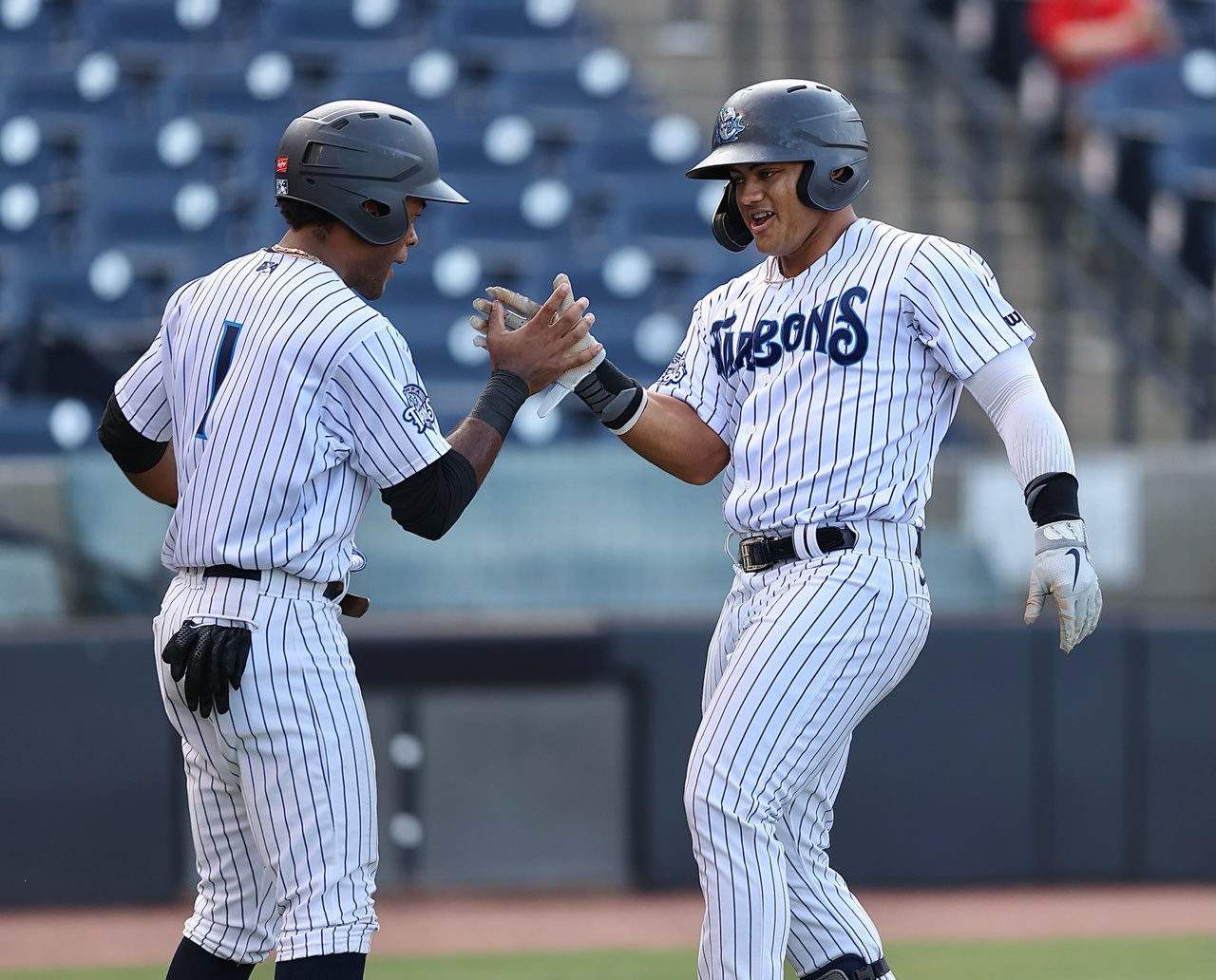 Tampa Tarpons players celebrate after scoring a run during a minor league game.